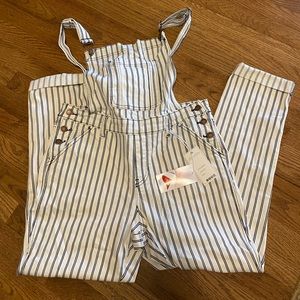Judy Blue Large Striped Boyfriend Overalls